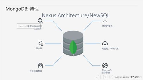 從零開始 一步步搭建MongoDB數據庫服務